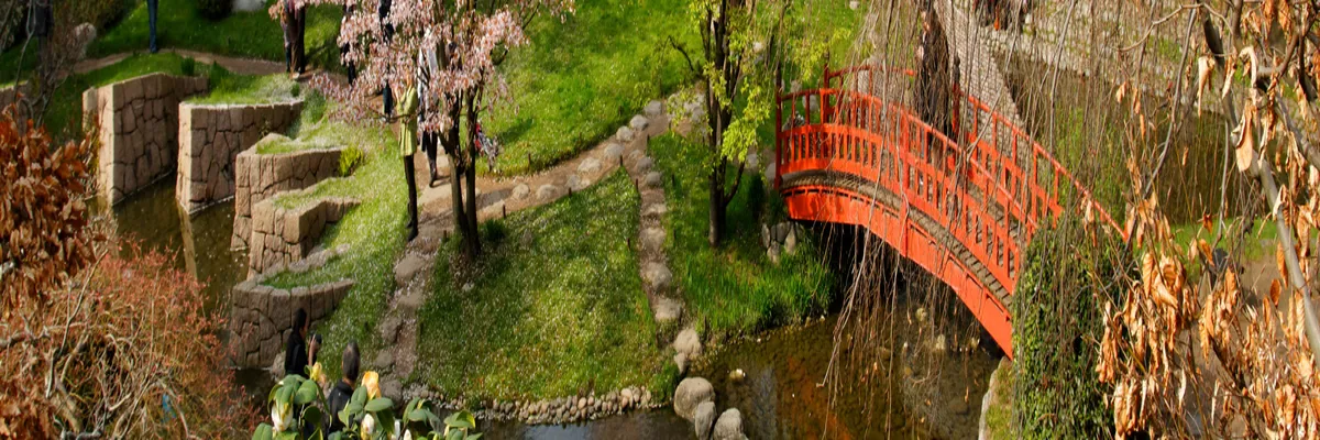 image-rencontre-femme-cougar-boulogne-billancourt.webp Image Rencontre femme cougar Boulogne-Billancourt