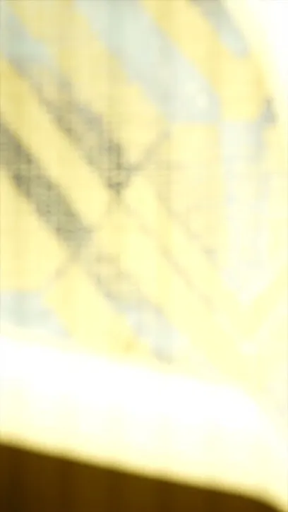 Image de Birdy
