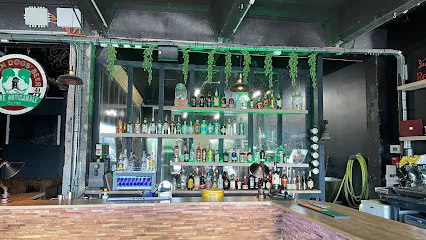 Image de GREEN DOGS' BEER