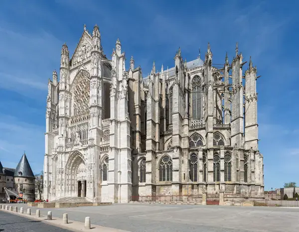 Les Cougars Rencontre femme cougar Beauvais