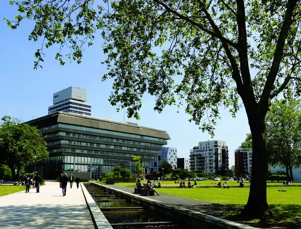 Les Cougars Rencontre femme cougar Cergy