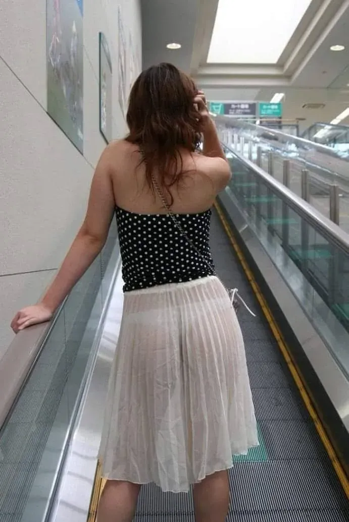 Leoparde_nocturne Choisy-le-Roi